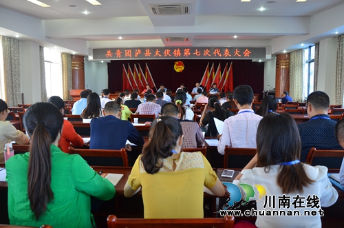 泸县太伏镇召开共青团第七次代表大会(图1)