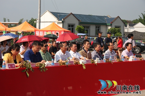 第五届“绿海潮河 龙眼飘香”桂圆节隆重开幕(图6) 第五届“绿海潮河 龙眼飘香”桂圆节隆重开幕(图6)