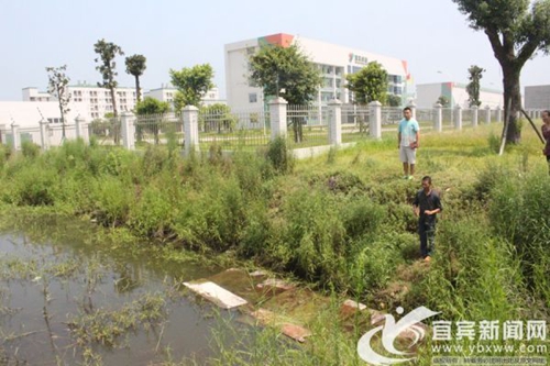 宜宾南溪水塘现鳄鱼&nbsp;村民家禽丢失疑似鳄鱼干的(图2)