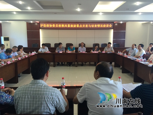 泸县政协到石桥镇视察旅游景点开发与培育情况(图1)