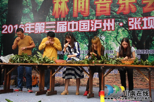 尝鲜桂圆尽情游园 张坝桂圆文化节让你爽个够(图20) 尝鲜桂圆尽情游园 张坝桂圆文化节让你爽个够(图20)