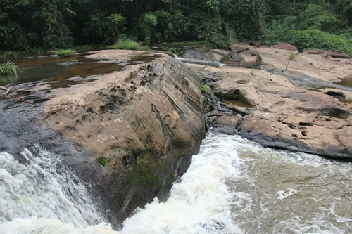 天意：“早春二月”与“二月茶”石刻(图9)