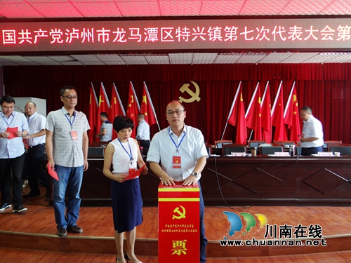 龙马潭区特兴镇召开第七次党代会第二次会议(图3)