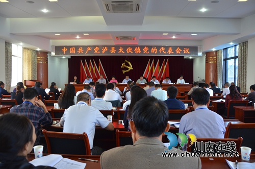 ***泸县太伏镇党的代表会议顺利召开(图1)