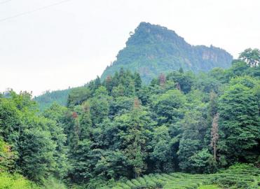 宜宾天宫山现“石达开”渡江之谜(图1)