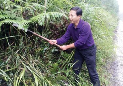 深山里的坚守(图1)