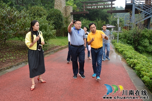 纳溪区委副书记、代区长谭荣兵调研&nbsp;“中国酒镇·酒庄”建设(图3)