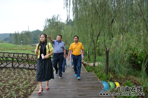 纳溪区委副书记、代区长谭荣兵调研&nbsp;“中国酒镇·酒庄”建设(图2)