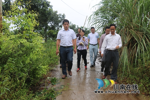 省财政局验收潮河镇蜀龙山地鸡基地改扩建项目(图1)
