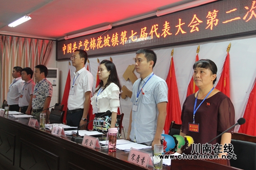 纳溪棉花坡镇召开第七届代表大会第二次会议(图2)