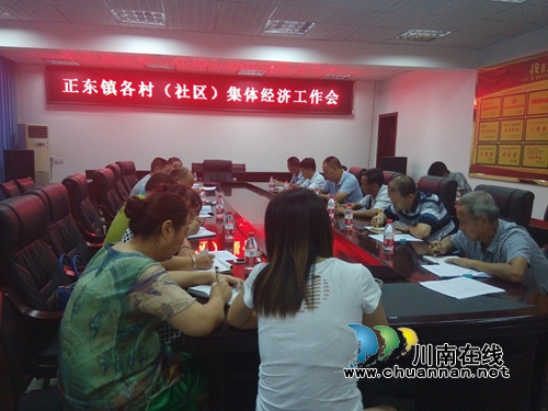 叙永正东镇村（社区）集体经济圆满筹备完成(图1)