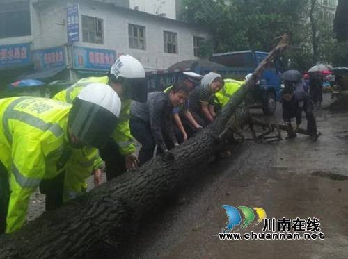 交警一大队：齐心协力“除”隐患&nbsp;全心全意“卫”人民(图1)