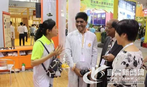 宜宾博物文化亮相“博博会” 迷住国外友人(图3) 宜宾博物文化亮相“博博会” 迷住国外友人(图3)
