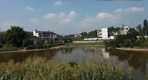 川报评价:大城泸州骤增人口 七万人已蜂拥进城(图4) 川报评价:大城泸州骤增人口 七万人已蜂拥进城(图4)