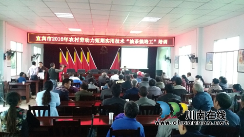 宜宾林丰乡：“油茶栽培工”培训班开班(图1)