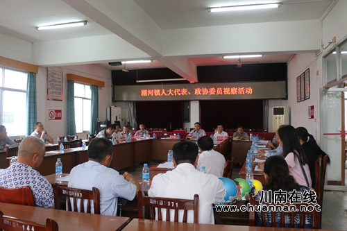 泸县潮河镇组织人大代表、政协委员开展视察活动(图1)