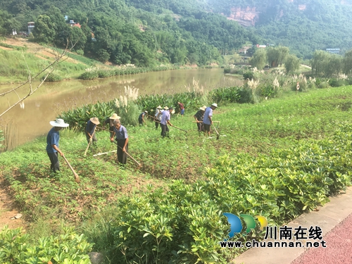 纳溪花田酒地景区积极“备战”国庆黄金周(图4) 纳溪花田酒地景区积极“备战”国庆黄金周(图4)