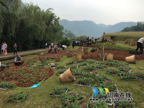 纳溪花田酒地景区积极“备战”国庆黄金周(图2) 纳溪花田酒地景区积极“备战”国庆黄金周(图2)