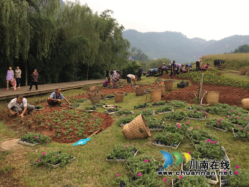 纳溪花田酒地景区积极“备战”国庆黄金周(图3) 纳溪花田酒地景区积极“备战”国庆黄金周(图3)