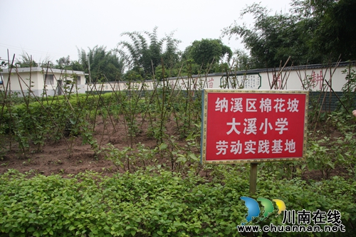 泸州市教育信息化建设与应用取得显著成效(图16) 泸州市教育信息化建设与应用取得显著成效(图16)