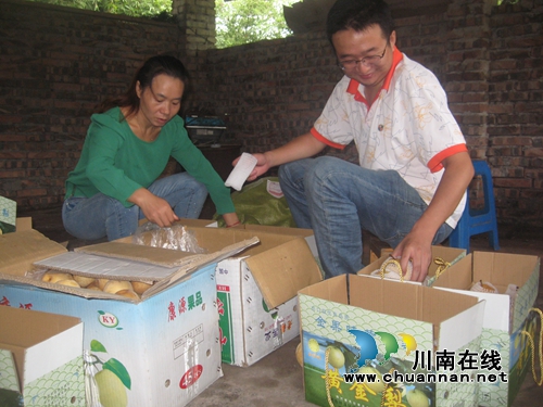 纳溪:“家庭农场”建冷库 错季销售助农致富(图1) 纳溪:“家庭农场”建冷库 错季销售助农致富(图1)