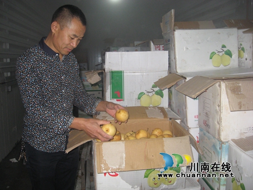 纳溪:“家庭农场”建冷库 错季销售助农致富(图2) 纳溪:“家庭农场”建冷库 错季销售助农致富(图2)