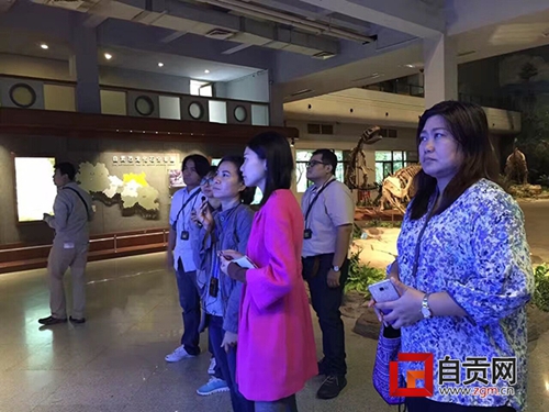 泰国地矿资源局代表团到自贡恐龙馆交流学习(图1)
