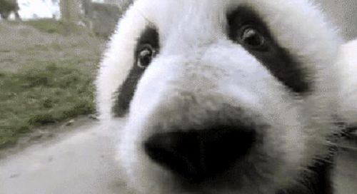 颠覆你的印象，揭开四川更真实的一面！(图22)
