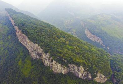 叙永天台山:六旬翁攀崖种树30年 荒山变绿林(图3) 叙永天台山:六旬翁攀崖种树30年 荒山变绿林(图3)