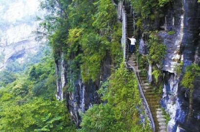 叙永天台山:六旬翁攀崖种树30年 荒山变绿林(图4) 叙永天台山:六旬翁攀崖种树30年 荒山变绿林(图4)