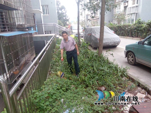 龙马潭区审计局沉入社区推进“创文”工作(图1)