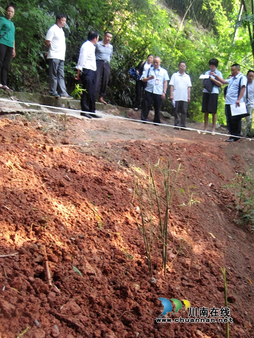 纳溪：渠水冲垮梯地未复原&nbsp;村民申请强制执行(图2)