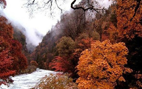 层林尽染 盘点宜宾出发多个最美红叶观赏景点(图1) 层林尽染 盘点宜宾出发多个最美红叶观赏景点(图1)