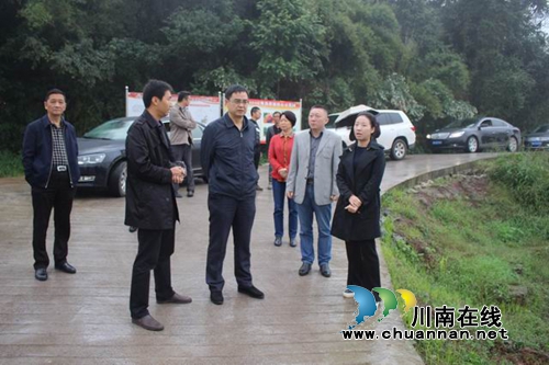 胥纯督查调研合江精准扶贫工作(图1)