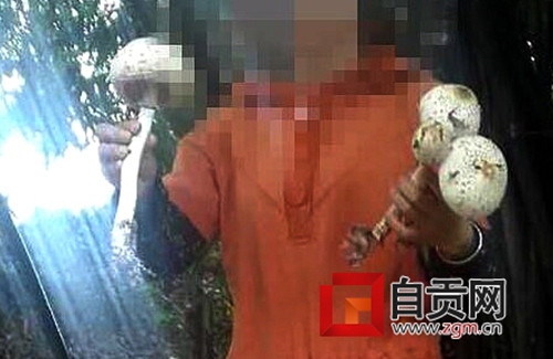 自贡一家四口吃野生蘑菇&nbsp;医务人员紧急救治成功(图1)