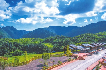 十三五泸州森林覆盖率达51%&nbsp;&nbsp;林业总产值250亿(图1)