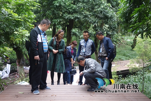 泸州张坝景区组织人大代表视察调研活动(图1)