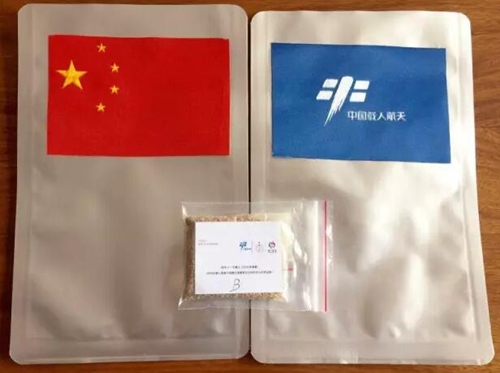 泸州有“两人”今天跟着神舟十一号上天啦!(图3) 泸州有“两人”今天跟着神舟十一号上天啦!(图3)