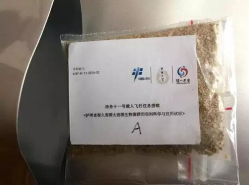 泸州有“两人”今天跟着神舟十一号上天啦!(图4) 泸州有“两人”今天跟着神舟十一号上天啦!(图4)