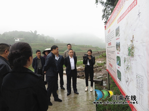 省总工会党组书记胥纯调研合江县土地整理项目(图2)
