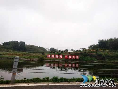 泸州龙马潭:投放4000万资金确保乡村稳定脱贫(图3) 泸州龙马潭:投放4000万资金确保乡村稳定脱贫(图3)