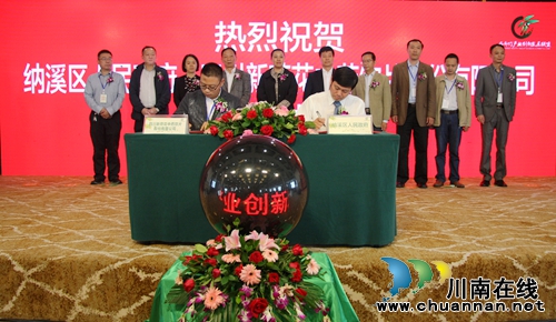 中国西部竹产业创新发展联盟在泸州纳溪成立(图7) 中国西部竹产业创新发展联盟在泸州纳溪成立(图7)