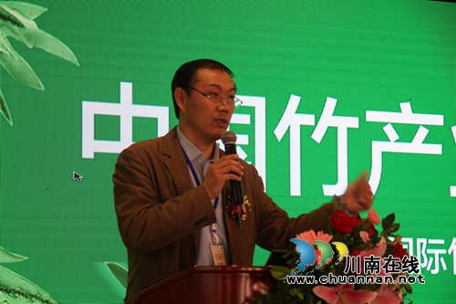发展西部竹产业 专家齐聚泸州纳溪“论剑”(图6) 发展西部竹产业 专家齐聚泸州纳溪“论剑”(图6)