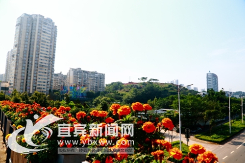 宜宾新建8万平米绿地公园“丹凤”&nbsp;辐射4街区(图2)