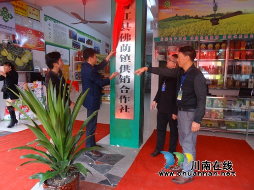 泸州合江县佛荫镇供销合作社挂牌成立(图2) 泸州合江县佛荫镇供销合作社挂牌成立(图2)