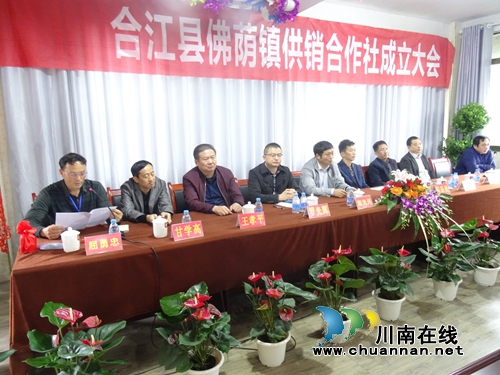 泸州合江县佛荫镇供销合作社挂牌成立(图4) 泸州合江县佛荫镇供销合作社挂牌成立(图4)