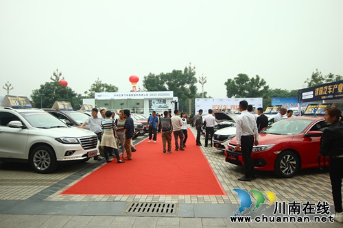 泸州电台汽车文化节净化车展环境&nbsp;树文明标杆(图2)