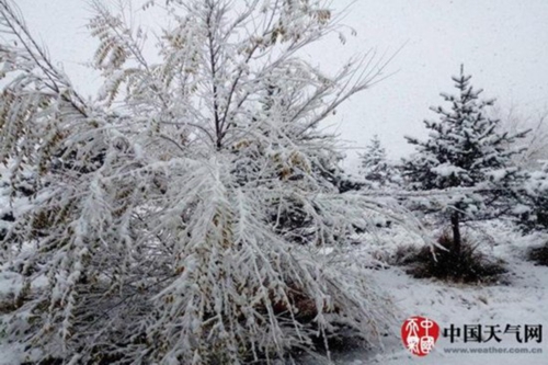 今明天四川盆地雨势较强&nbsp;普遍有中到大雨(图2)