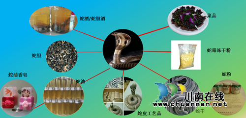 合江举行第二届创新创业大赛&nbsp;10个项目获奖(图5)