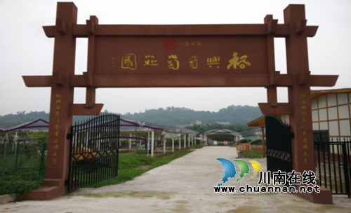 合江举行第二届创新创业大赛&nbsp;10个项目获奖(图6)